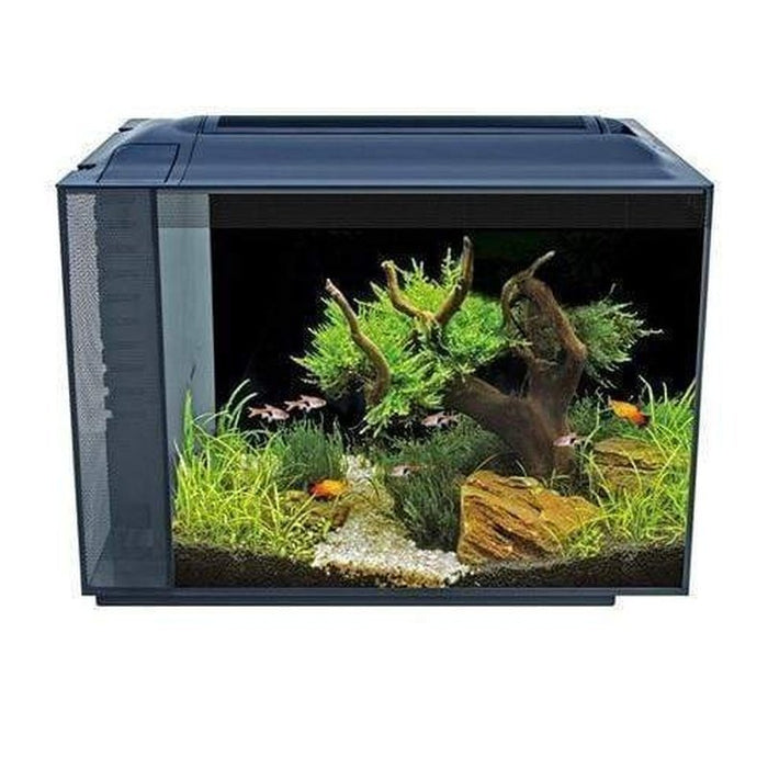 Fluval Spec XV Aquarium Black 60L - Aquatic Supplies Australia