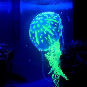 Glow in the Dark Jellyfish Large Aquatic Supplies Australia