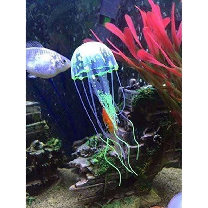 Glow in the Dark Jellyfish Small - Aquatic Supplies Australia