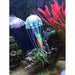 Glow in the Dark Jellyfish Small - Aquatic Supplies Australia