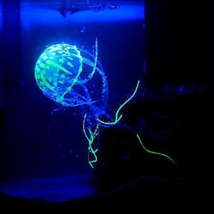 Glow in the Dark Jellyfish Small Aquatic Supplies Australia