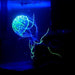 Glow in the Dark Jellyfish Small - Aquatic Supplies Australia