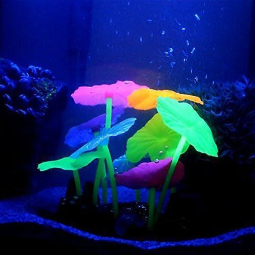 Glow in the Dark Lotus Garden Multi Colour - Aquatic Supplies Australia