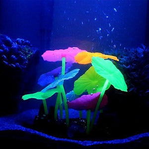 Glow in the Dark Lotus Garden Multi Colour Aquatic Supplies Australia