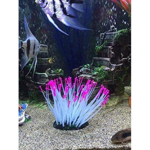 Glow in the Dark Pink Tipped Anemone - Aquatic Supplies Australia