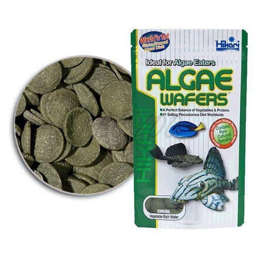 Hikari Algae Wafers - Aquatic Supplies Australia