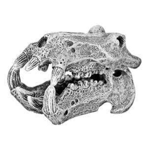 Hippo Skull 5 x 5cm - Aquatic Supplies Australia