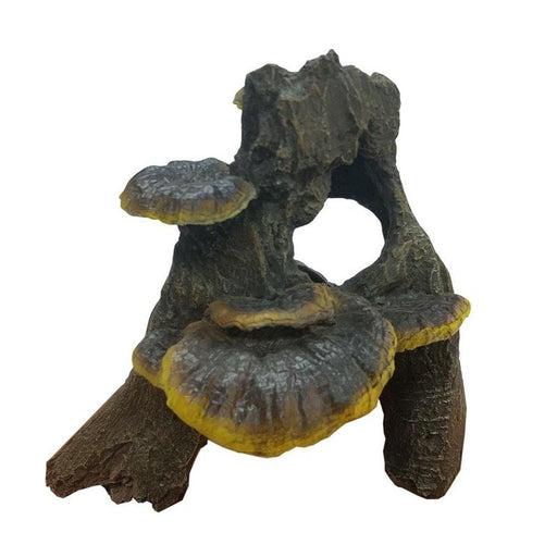iPetz Fungi on Driftwood 17 x 16 x 17cm - Aquatic Supplies Australia