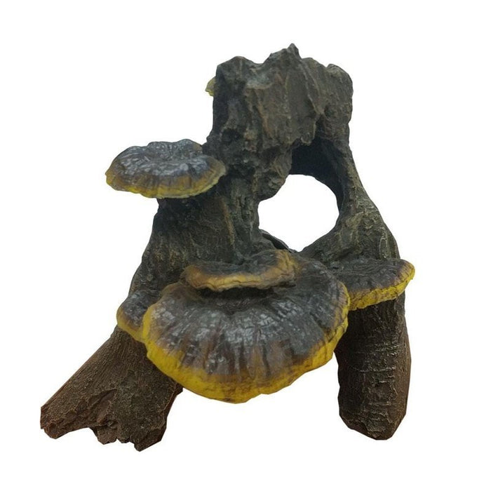iPetz Fungi on Driftwood 17 x 16 x 17cm - Aquatic Supplies Australia