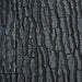 Juwel Background STR 450 x 450mm - Aquatic Supplies Australia