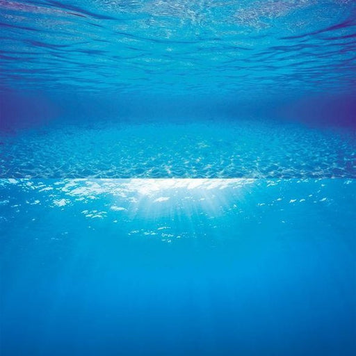 Juwel Poster 2 Underwater Images - Aquatic Supplies Australia