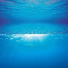 Juwel Poster 2 Underwater Images Aquatic Supplies Australia