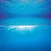 Juwel Poster 2 Underwater Images - Aquatic Supplies Australia