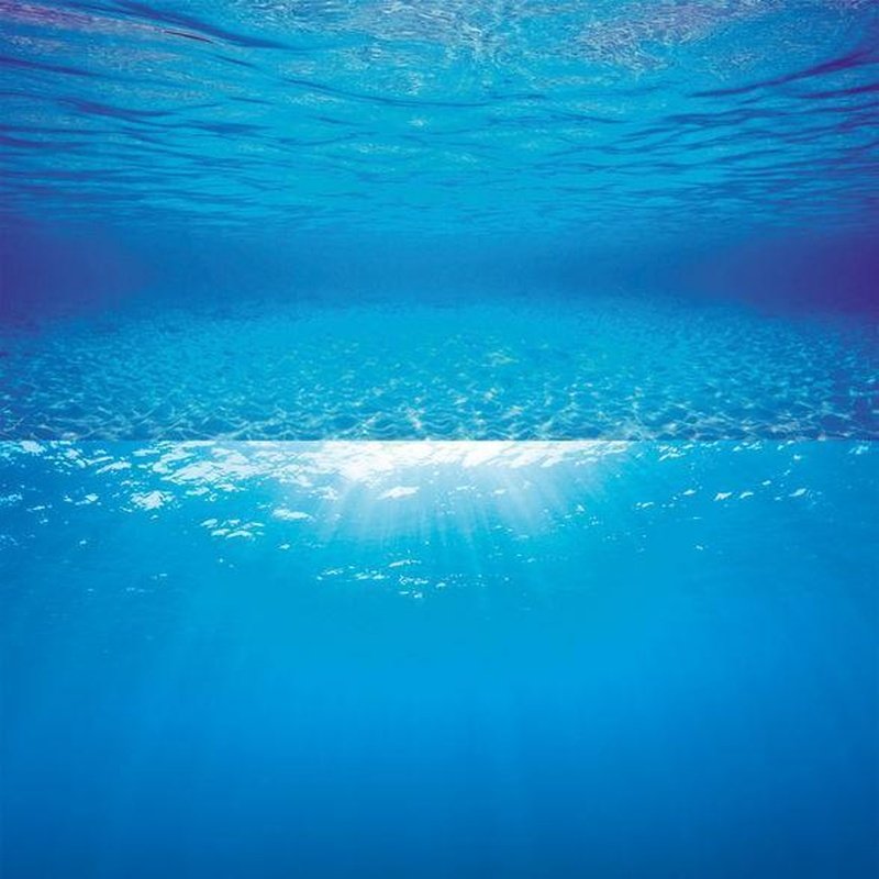 Juwel Poster 2 Underwater Images - Aquatic Supplies Australia