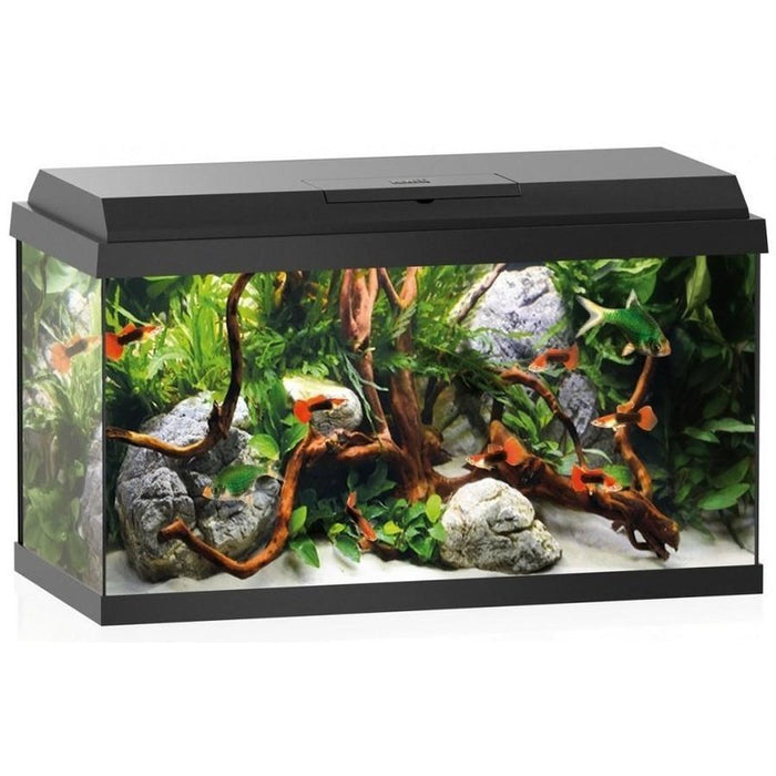 Juwel Primo 60 Aquarium Black (57L) - Aquatic Supplies Australia