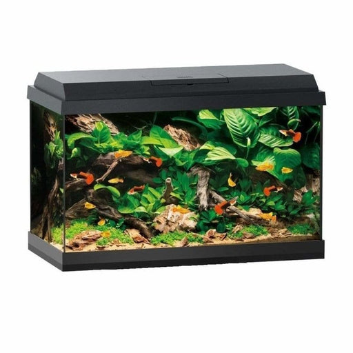 Juwel Primo 70 LED Aquarium (70L) - Aquatic Supplies Australia