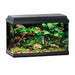 Juwel Primo 70 LED Aquarium (70L) - Aquatic Supplies Australia