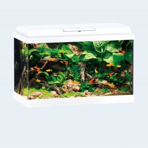 Juwel Primo 70 LED Aquarium (70L) - Aquatic Supplies Australia
