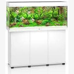 Juwel Rio 240 LED Aquarium (240L) Aquatic Supplies Australia