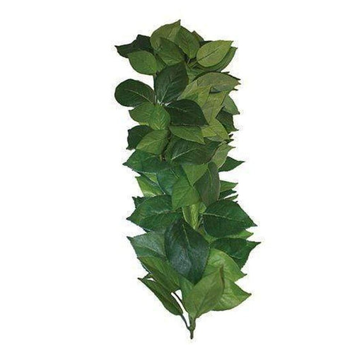 Komodo Ficus Silk Hanging Vine 35cm - Aquatic Supplies Australia