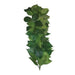 Komodo Ficus Silk Hanging Vine 35cm - Aquatic Supplies Australia