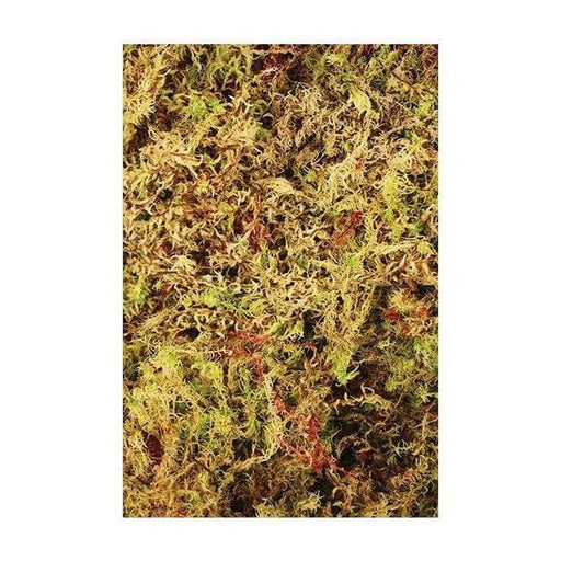 Komodo Habitat Moss Brick Bedding 100g - Aquatic Supplies Australia
