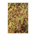 Komodo Habitat Moss Brick Bedding 100g - Aquatic Supplies Australia