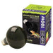 Komodo Moonlight Bulb - Aquatic Supplies Australia