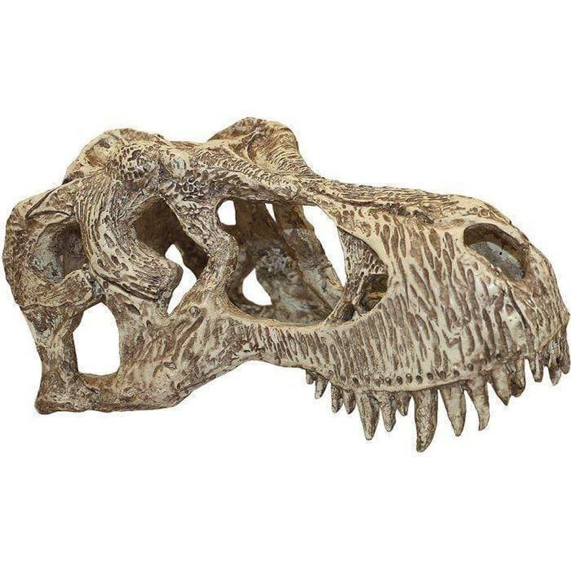 Komodo T-Rex Skull 17 x 8 x 9cm - Aquatic Supplies Australia