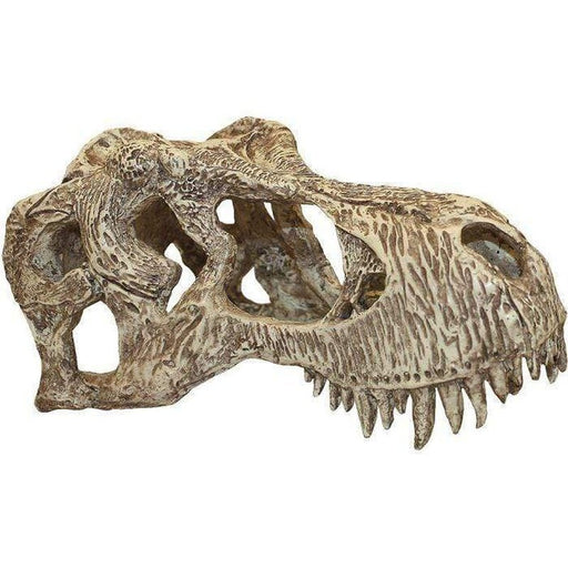 Komodo T-Rex Skull 17 x 8 x 9cm - Aquatic Supplies Australia
