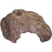 Komodo Wide Entrance Rock Den - Aquatic Supplies Australia