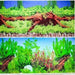 Marina Seaview Background Blue Spring Wood/Aquatic Plants 30cm High - Aquatic Supplies Australia