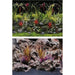 Marina Seaview Background Jungle Flora/Red Lace 30 x 60cm - Aquatic Supplies Australia