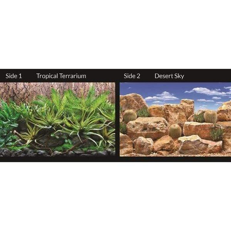 Marina Seaview Background Tropical Terrarium/Desert Sky 30cm High - Aquatic Supplies Australia