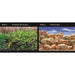 Marina Seaview Background Tropical Terrarium/Desert Sky 45cm High - Aquatic Supplies Australia