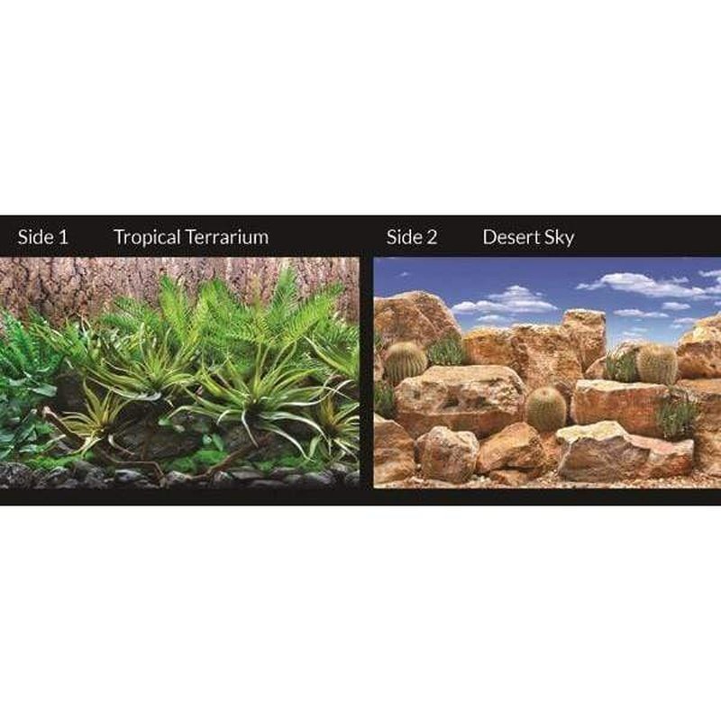 Marina Seaview Background Tropical Terrarium/Desert Sky 60cm High - Aquatic Supplies Australia
