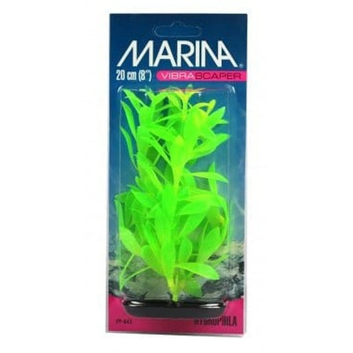 Marina Vibrascaper Medium Hygrophilia Plant 20cm - Aquatic Supplies Australia