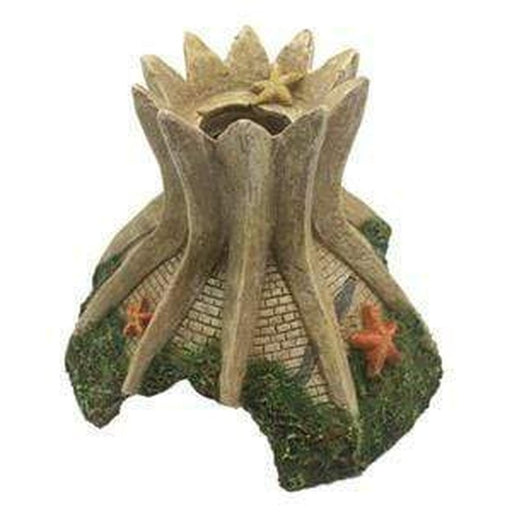 Neptune Cathedral of Brasília 10.5 x 10.5 x 8cm - Aquatic Supplies Australia