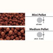 Ocean Free FH-G1 Pro Head Flowerhorn Pellets - Aquatic Supplies Australia