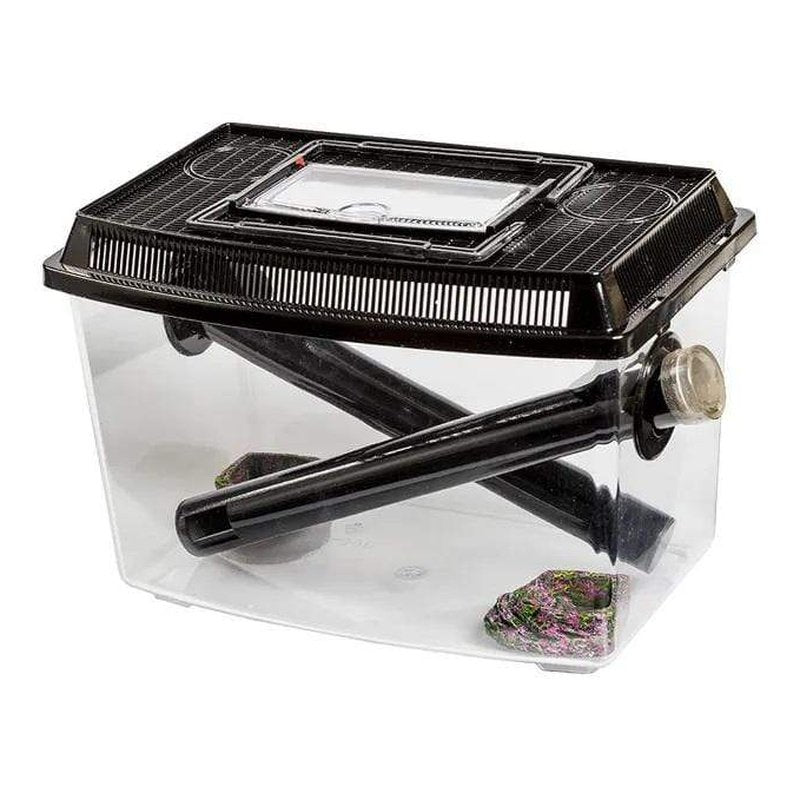 Pisces Cricket Keeper - Aquatic Supplies Australia
