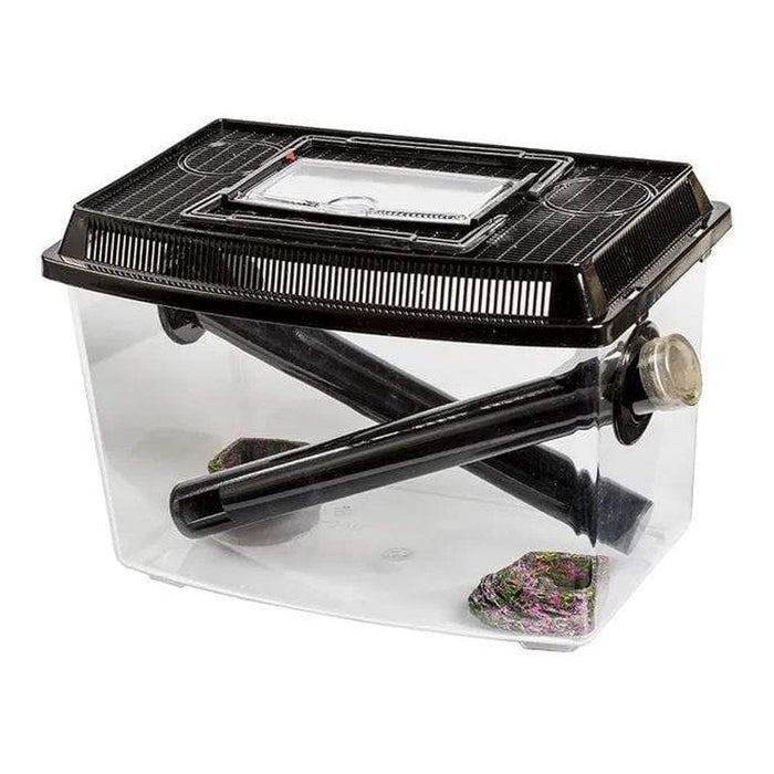 Pisces Cricket Keeper - Aquatic Supplies Australia
