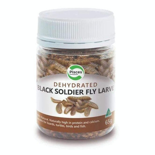 Pisces Dehydrated Black Soldier Fly Larvae 40g - Aquatic Supplies Australia