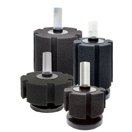 Pisces E - Jet Sponge Filter 101 (40L) - Aquatic Supplies Australia