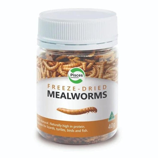 Pisces Freeze-dried Mealworms 40g - Aquatic Supplies Australia
