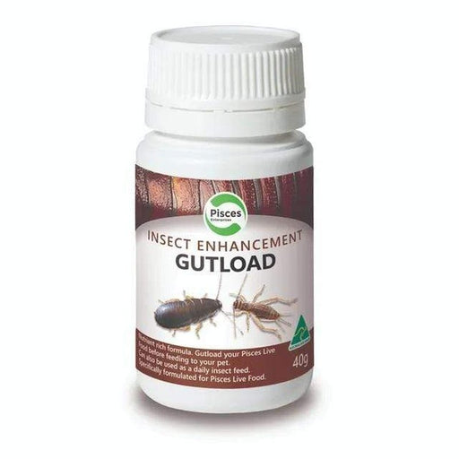 Pisces Gutload Insect Enhancement 40g Aquatic Supplies Australia