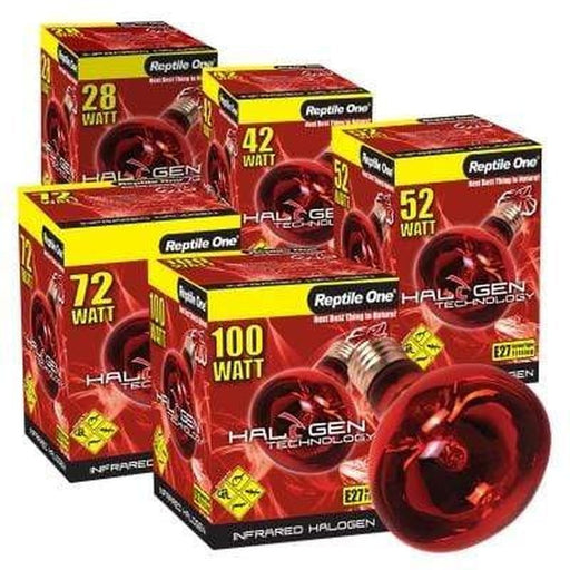 Reptile One Infrared Halogen Heat Lamp - Aquatic Supplies Australia