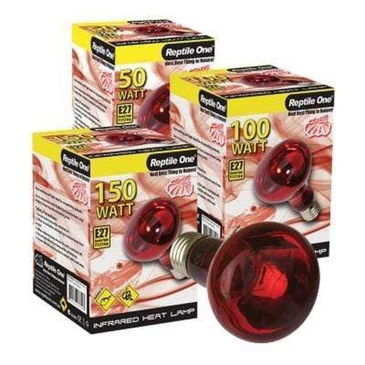 Reptile One Infrared Heat Lamp - Aquatic Supplies Australia