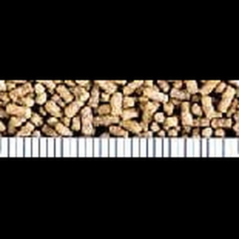 Saki-Hikari Fancy Goldfish Balance Pellet 200g - Aquatic Supplies Australia