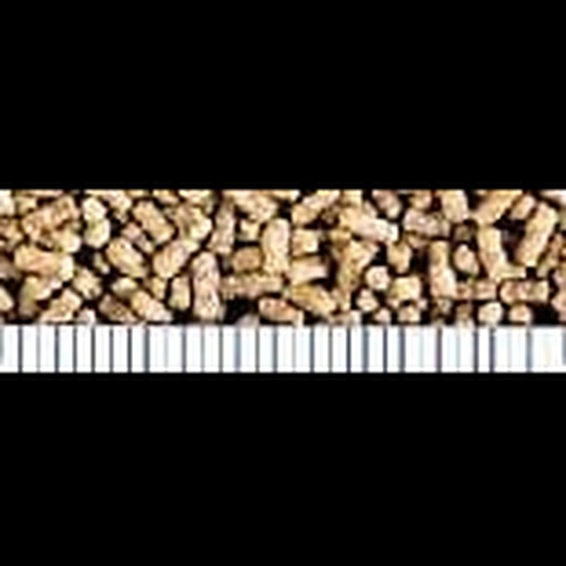 Saki - Hikari Fancy Goldfish Balance Pellet 200g - Aquatic Supplies Australia