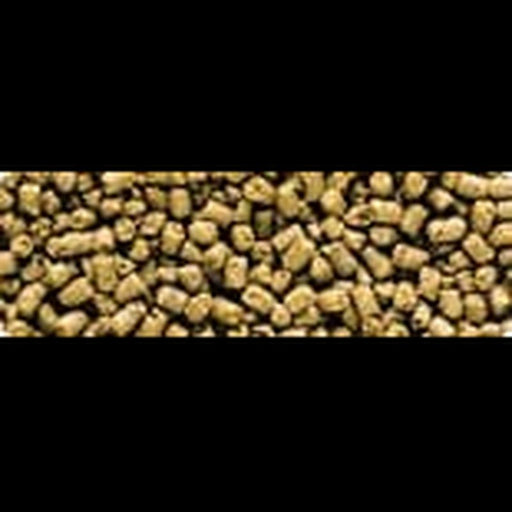Saki - Hikari Marine Carnivore Pellet 40g - Aquatic Supplies Australia